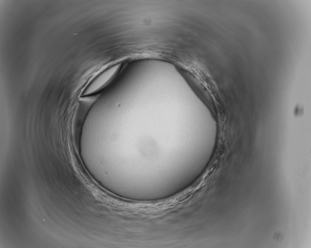 X0000098220001200805081209