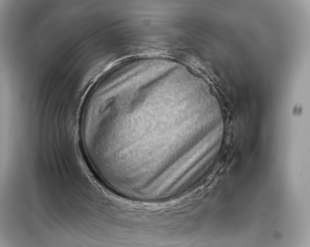 X0000098220002200805081209