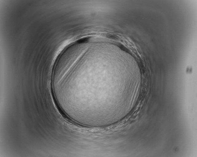 X0000098220003200805081209