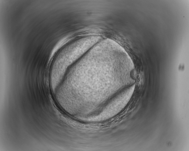 X0000098220004200805081209