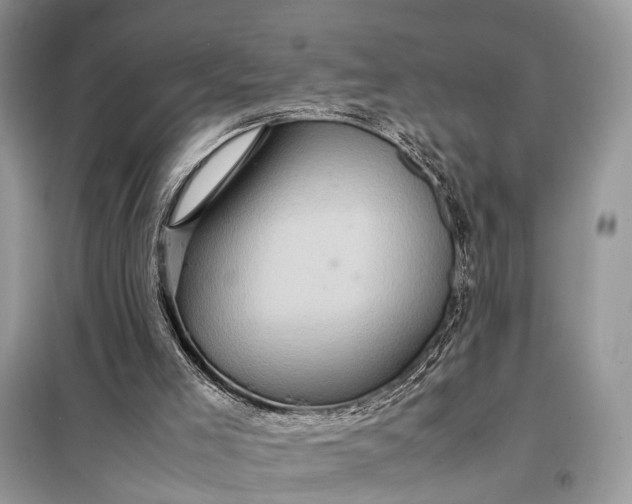 X0000098220005200805081209