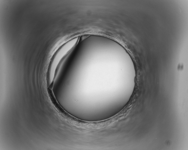 X0000098220007200805081209