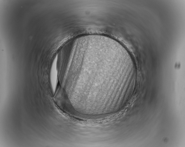 X0000098220009200805081209