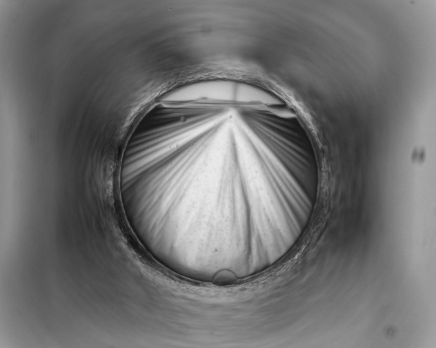 X0000098220010200805081209