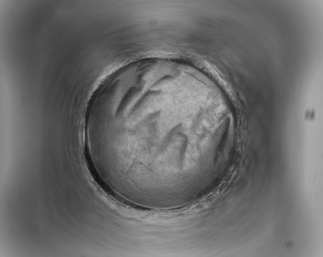 X0000098220011200805081209