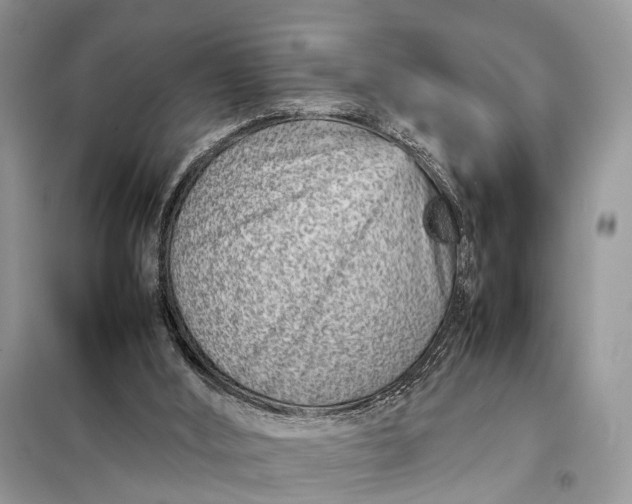 X0000098220012200805081209