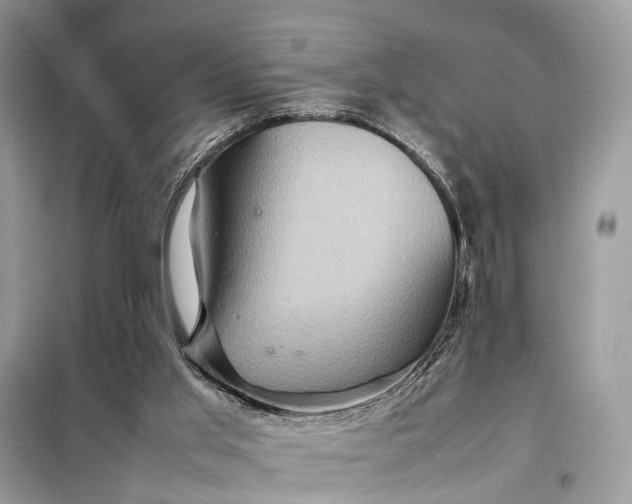 X0000098220013200805081209