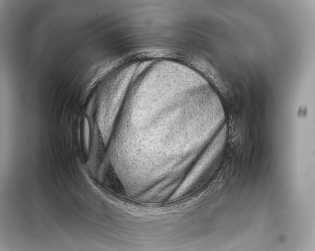 X0000098220014200805081209