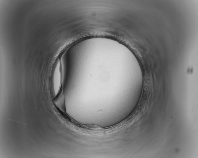 X0000098220015200805081209