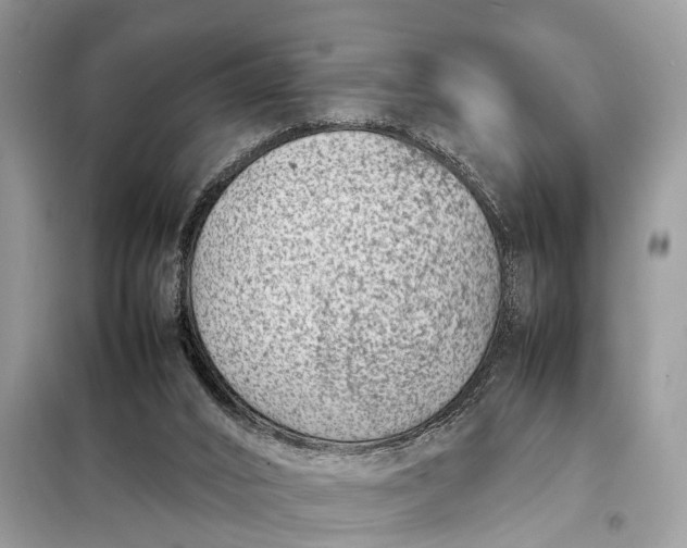 X0000098220016200805081209