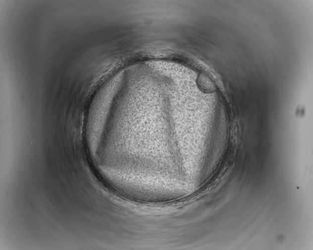 X0000098220018200805081209