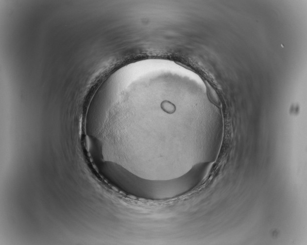 X0000098220019200805081209