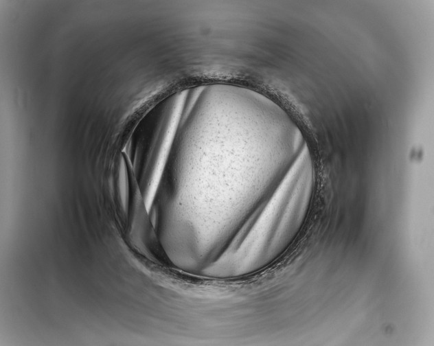 X0000098220020200805081209