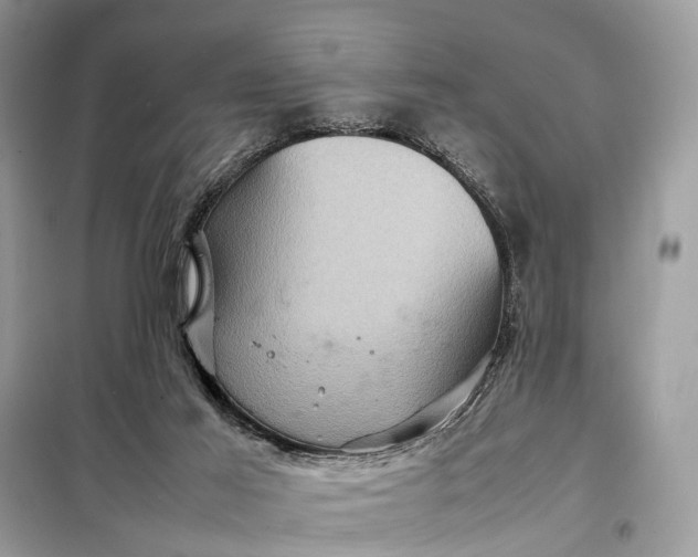 X0000098220021200805081209