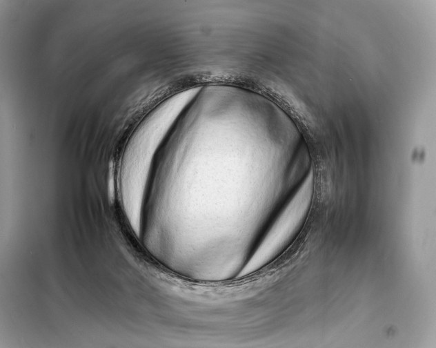 X0000098220022200805081209