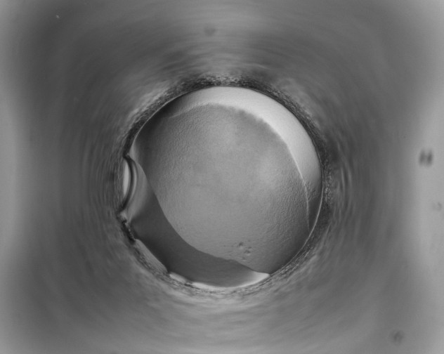 X0000098220023200805081209