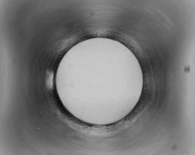 X0000098220024200805081209