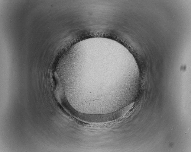 X0000098220025200805081209