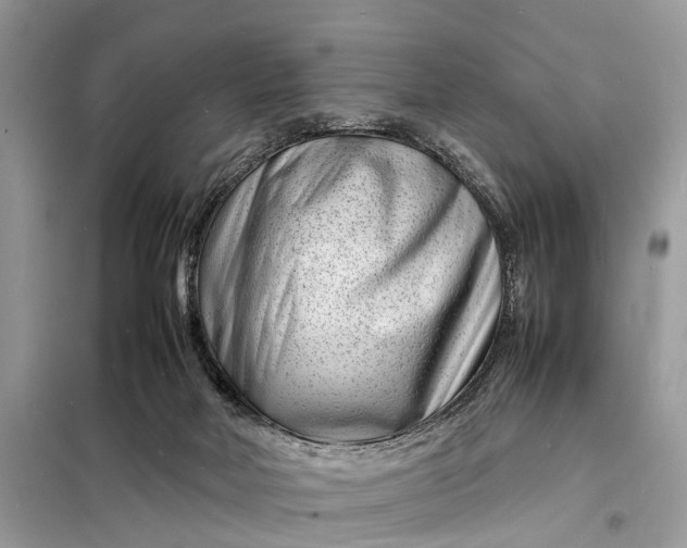 X0000098220026200805081209