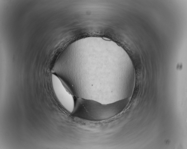 X0000098220029200805081209