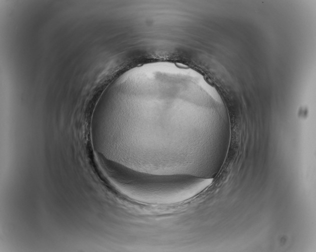 X0000098220031200805081209