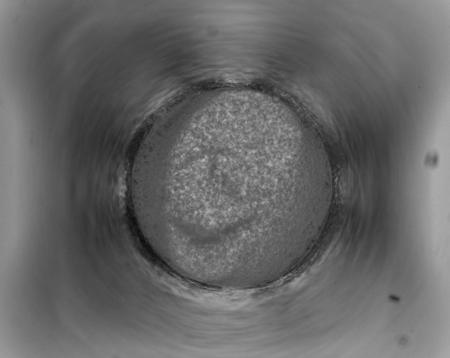 X0000098220032200805081209