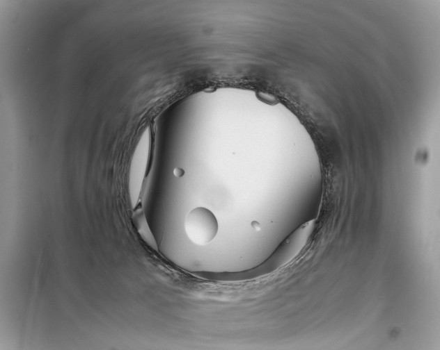 X0000098220033200805081209