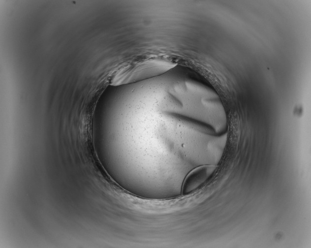 X0000098220034200805081209