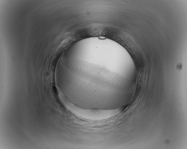 X0000098220035200805081209