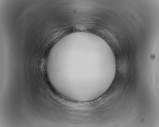 X0000098220036200805081209