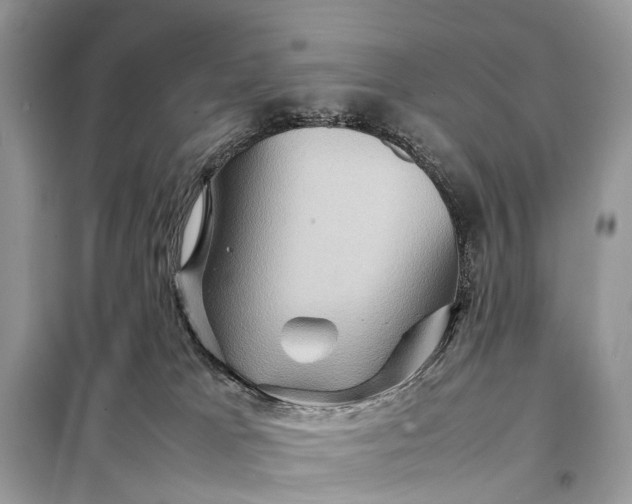 X0000098220037200805081209