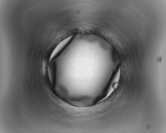 X0000098220038200805081209