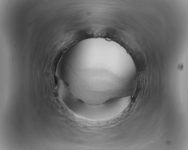 X0000098220039200805081209