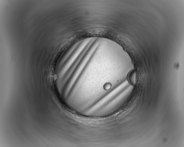 X0000098220040200805081209