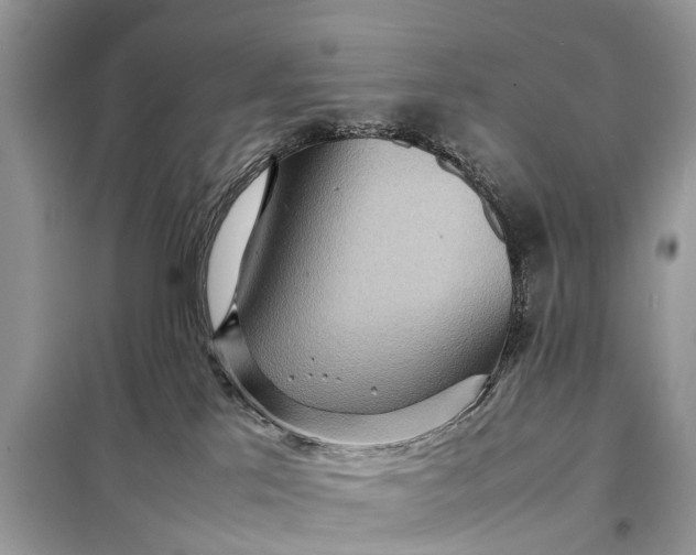 X0000098220041200805081209