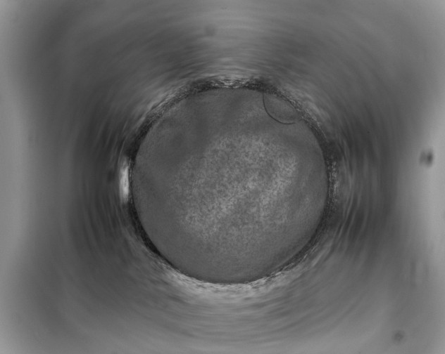 X0000098220042200805081209