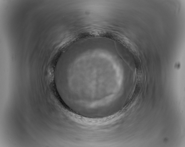 X0000098220043200805081209