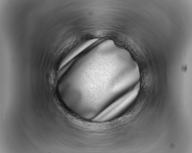 X0000098220044200805081209