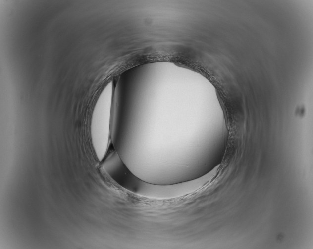 X0000098220045200805081209