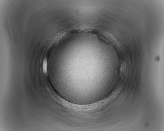 X0000098220046200805081209