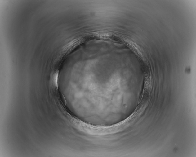 X0000098220047200805081209