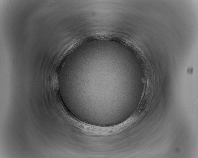 X0000098220048200805081209