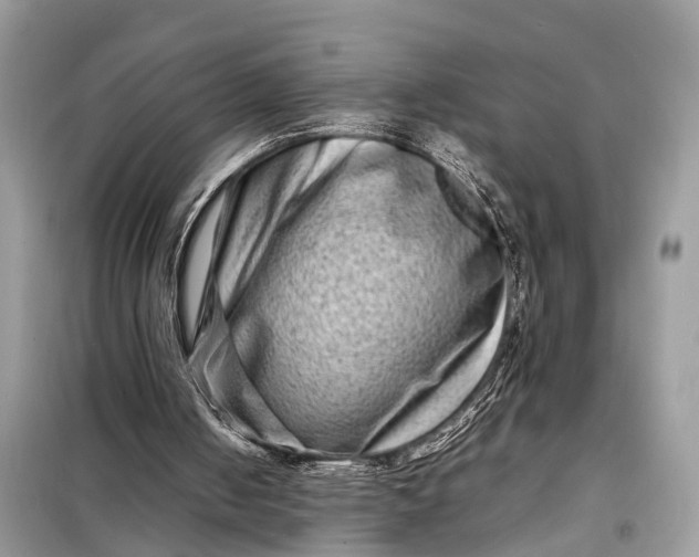 X0000098220050200805081208