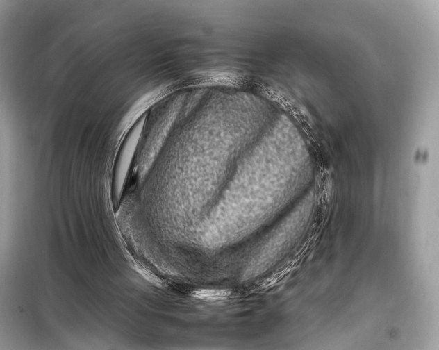 X0000098220051200805081208