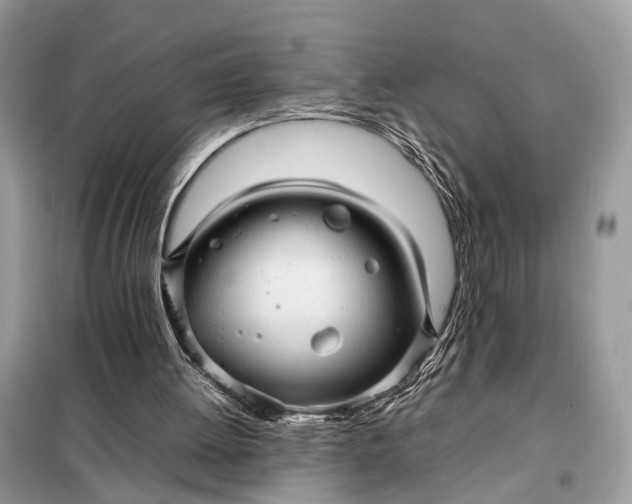 X0000098220052200805081208