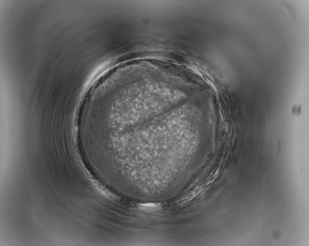 X0000098220053200805081208