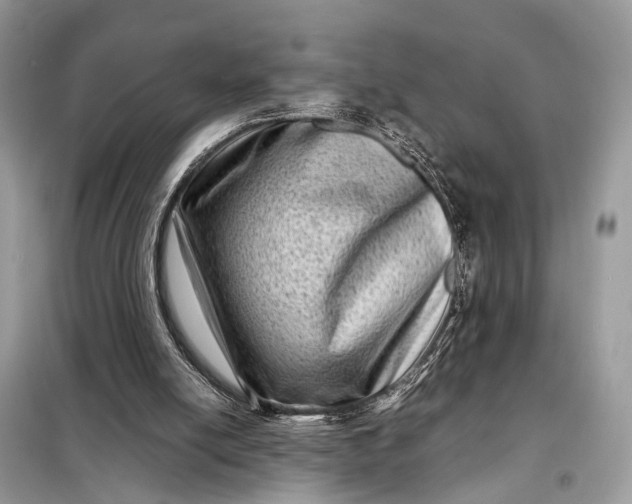 X0000098220054200805081208