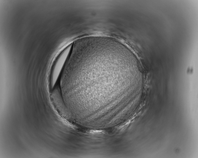 X0000098220055200805081208