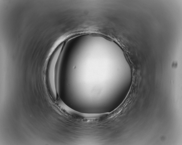 X0000098220056200805081208