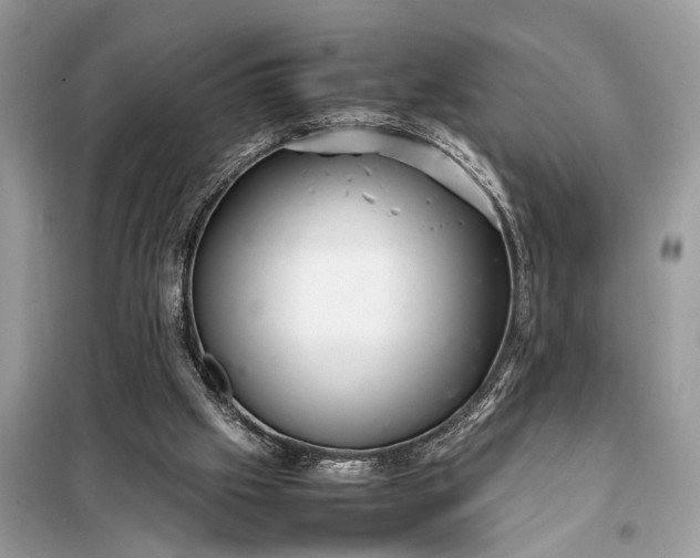 X0000098220057200805081208